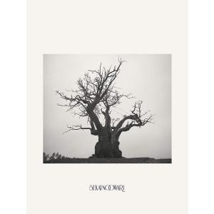 正規品 SEKAI NO OWARI 2010-2019 完全生産限定プレミアムBOX プチプチ