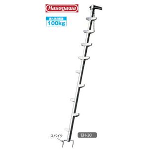 長谷川工業 枝打ちはしご EH-60 (全長6.07m/最大使用重量100kg
