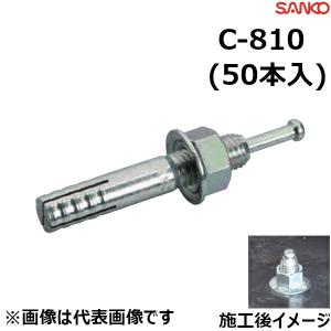 ユニカ C-1080 ルーティアンカーCタイプ（スチール,♂M10×全長80mm 50