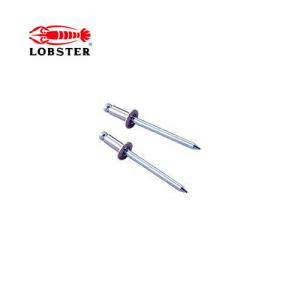 エビ/ロブテックス NSS54MP ブラインドリベット(丸頭)　エコパック(30本入)