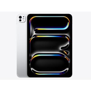 Apple　iPad Pro 11インチ Wi-Fi 256GB 第5世代 11インチiPad Pro Wi-Fiモデル 256GB（標準ガラス搭載