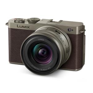中古】Panasonic LUMIX G100D レンズ/トライポッドグリップ
