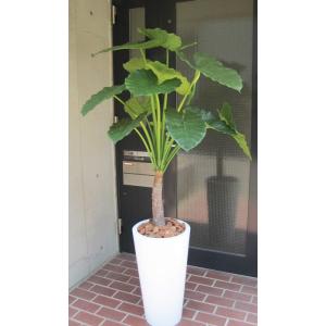 観葉植物 造花 人工観葉植物 ギフト フェイクグリーン オシャレ 光触媒