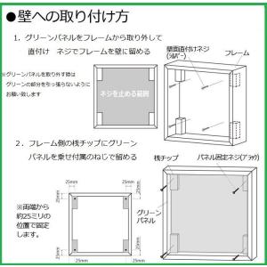 コンビネーション壁面緑化パネル 1375×75...の詳細画像2