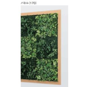 壁面緑化 連接グリーンパネル 600mm角×4...の詳細画像1