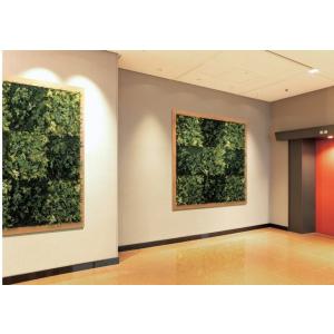 壁面緑化 連接グリーンパネル 600mm角×4...の詳細画像5