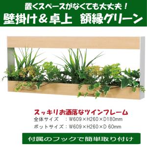 壁面緑化 連接グリーンパネル 300mm角 /人工観葉植物 フェイク アート