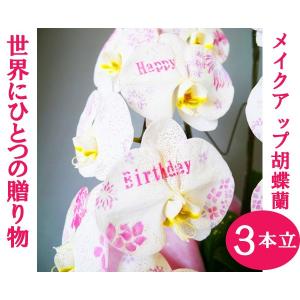 (贈答用 生花 胡蝶蘭 )ひと際目立つメイクアッ...の商品画像