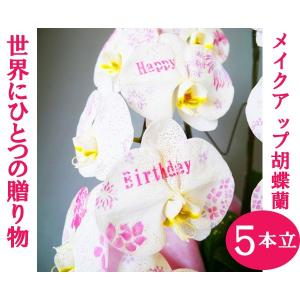 (贈答用 生花 胡蝶蘭 )ひと際目立つメイクアップ胡蝶蘭L5本立ち