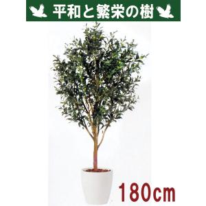 180cm 観葉植物 フェイク 人工植物 ギフト 大型 グリーン オシャレ/天然幹 ライブオリーブ 180cm
