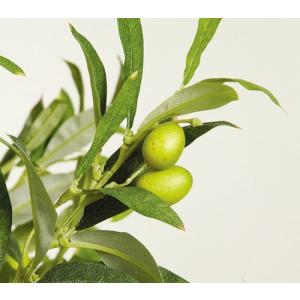 180cm 観葉植物 フェイク 人工植物 ギフ...の詳細画像1