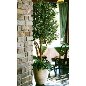 180cm 観葉植物 フェイク 人工植物 ギフ...の詳細画像2