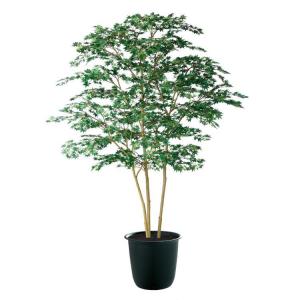 200cm人工観葉植物 フェイク 大型 紅葉 もみじ ヤマモミジ3本立ちグリーン 200cm