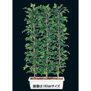 W100×D50×H200cmパーテーション 人工観葉植物 仕切り フェイクグリーン ベンジャミンパーテーションH200cm