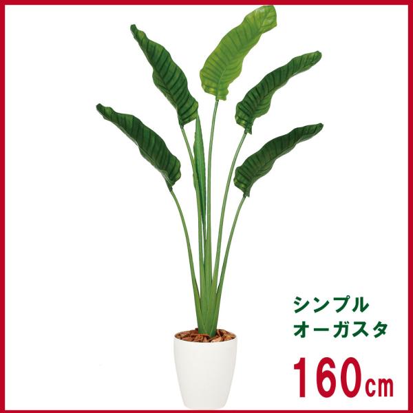 160cm 観葉植物 フェイク 人工植物 ギフト 大型 グリーン/ シンプル オーガスタ 全高160...