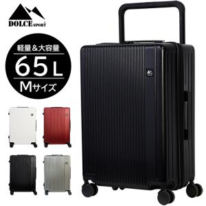 スーツケース Sサイズ 40L 機内持込 TSAロック付 キャリーバッグ