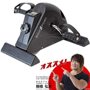 スピンバイク ミニ フィットネスバイク エアロバイク