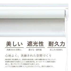 ロールスクリーン ロールカーテン ロールブライ...の詳細画像2