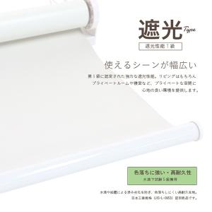 ロールスクリーン ロールカーテン ロールブライ...の詳細画像4