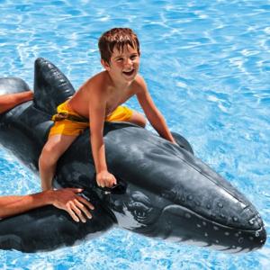 クジラ フロート ライドオン 浮き輪 浮輪 うきわ