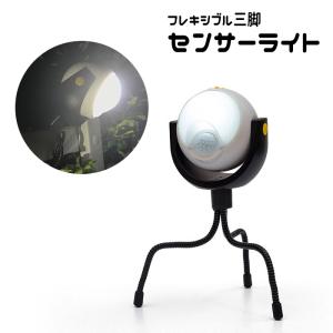 LEDセンサーライト 人感センサーライト センサーライト