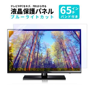 液晶テレビ保護パネル 65型 クリアパネル 固定ベルト付