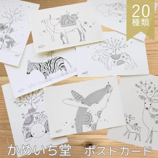 かめいち堂 20種から選べるポストカード ハガキ メッセージカード カメ ライオン ラクダ サル キ...