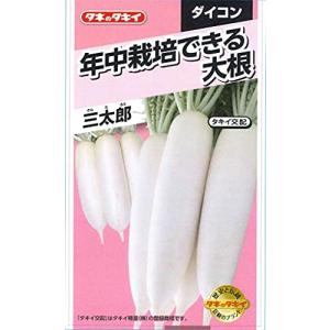 タキイ種苗 年中栽培できる大根 三太郎 - 最安値・価格比較 - Yahoo