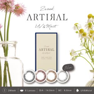 アーティラル2week　UVM　 2箱　（1箱6枚入） 　カラコン　カラーコンタクト　度あり 度なし　ゆうパケット