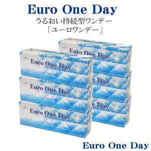 ユーロワンデー ６箱セット 送料無料 (１箱３０枚入) 通販 コンタクトレンズコンタクトレンズ ワンデー 1day