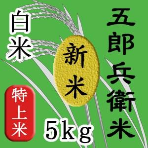 新米　令和７年　5kg コシヒカリ　５キロ　 希少　幻のお米 五郎兵衛米  信州長野 佐久   美味...