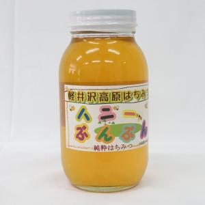 純粋 軽井沢高原はちみつ 純国産 ハニーぶんぶん2.4Kg 非加熱
