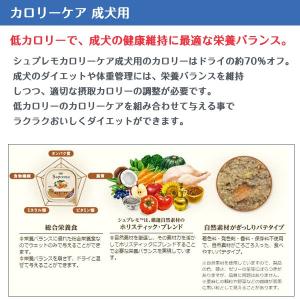 【メーカー欠品中 入荷待ち商品】シュプレモ カ...の詳細画像1