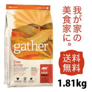ギャザー フリーエーカーキャット 1.81kg...