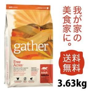 ギャザー フリーエーカーキャット 3.63kg...