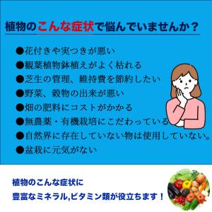即日発送 バクチャー植物 100cc 土壌改良...の詳細画像1