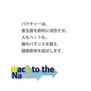即日発送 バクチャー植物 100cc 土壌改良...の詳細画像3