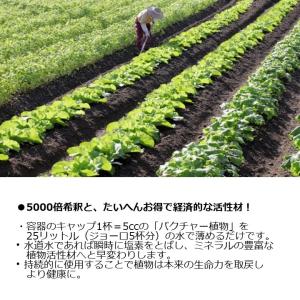 即日発送 バクチャー植物 100cc 土壌改良...の詳細画像4