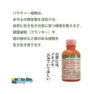 即日発送 バクチャー植物 100cc 土壌改良...の詳細画像5