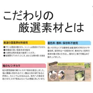 ミドリムシ 犬 ドッグフード ドライフード の商品一覧 ドッグフード 犬用品 ペット用品 生き物 通販 Yahoo ショッピング
