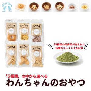 ミドリムシ 犬の商品一覧 通販 Yahoo ショッピング