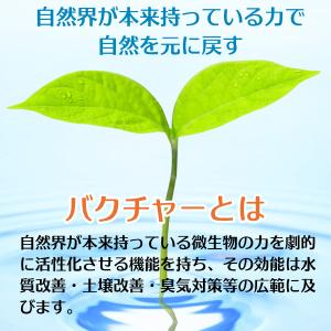 即日発送 トイレ用 バクチャー BAKTURE...の詳細画像4