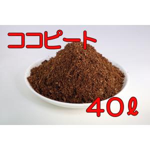 ココナッツピート 40L