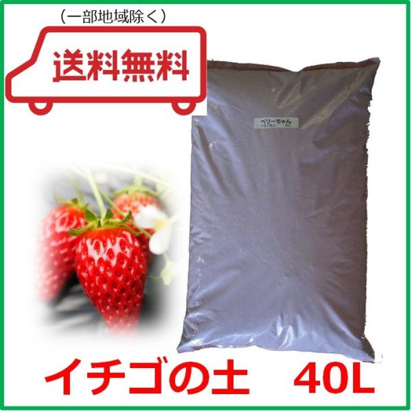 イチゴの土（苗づくり用）40L