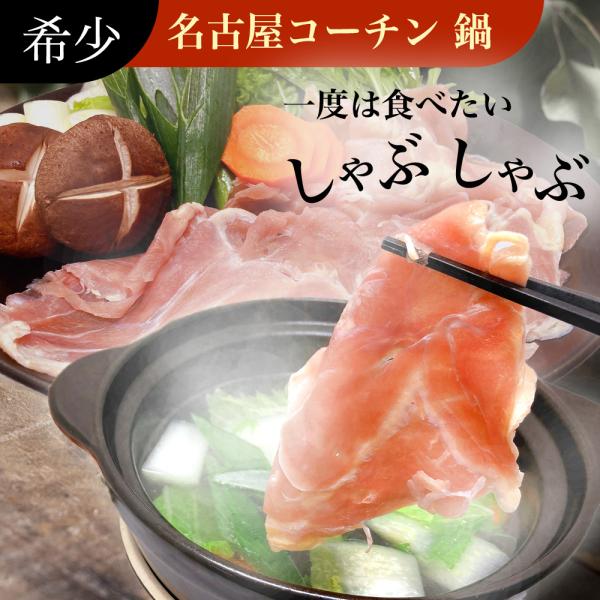 しゃぶしゃぶ 名古屋コーチン もも肉 500g  鶏しゃぶ 国産 鳥鍋