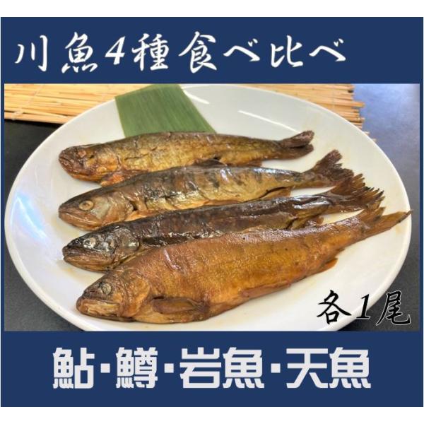 漁協直送【メール便送料180円】川魚甘露煮(鮎、虹鱒、いわな、あまご)食べ比べ　　各1尾4種　ポスト...