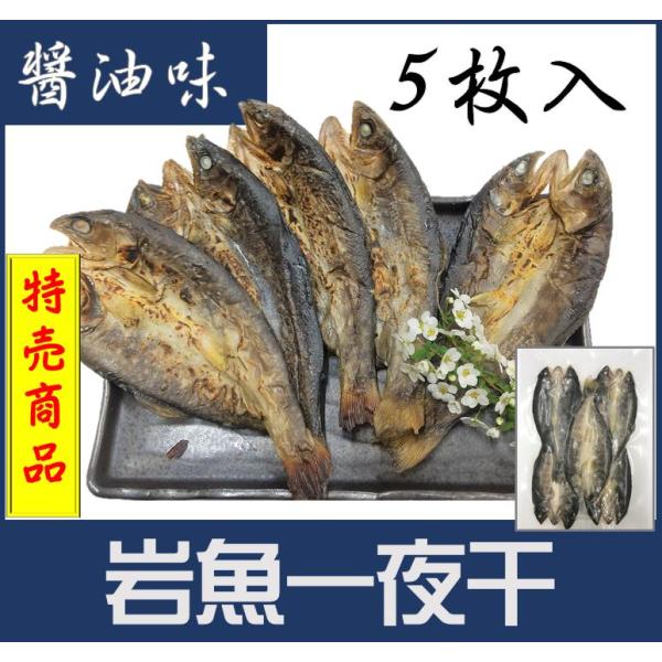 【訳あり特価】　岩魚一夜干し5尾入　