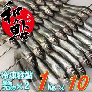 冷凍 鮎 (あゆ) 10尾/1kg【愛知県産 養殖鮎・魚介類】BBQ