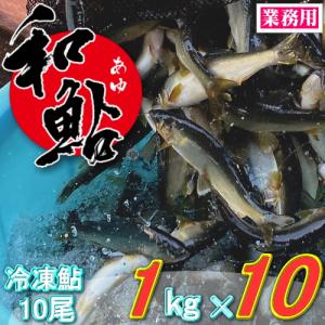 冷凍 子持ち 鮎 (あゆ) 10尾/1kg【愛知県産 養殖鮎・魚介類】 魚 食品