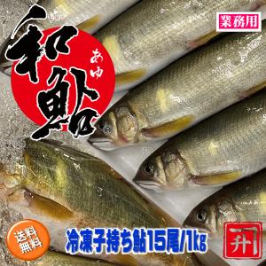 冷凍鮎子持ち15尾/1kg(愛知県産養殖)の商品画像